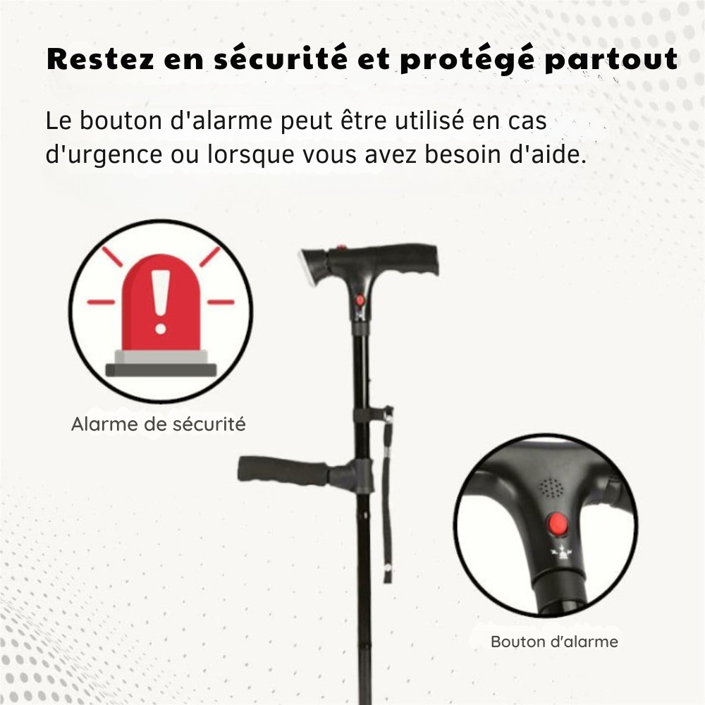 WalkAssist Pro - Mobilité et Sécurité Maximales