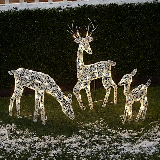 Rennes lumineux avec décoration noël extérieur